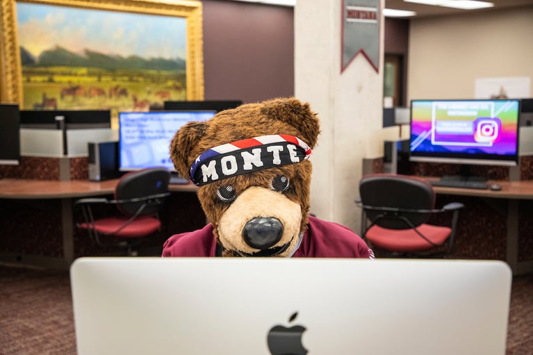 How to Apply to UM