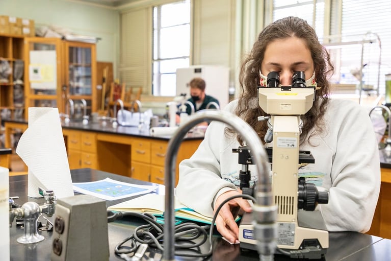 My Research Experience at UM
